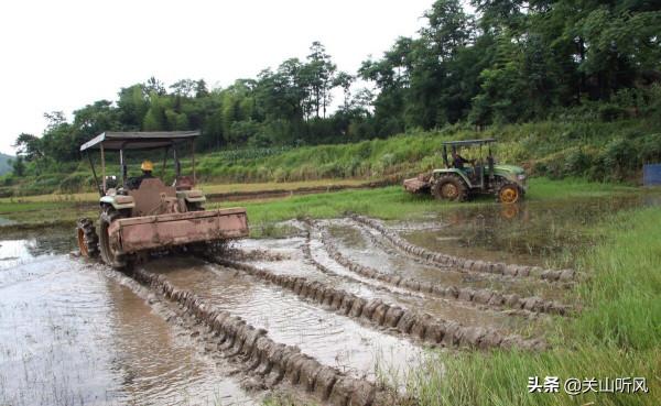 有人說:“荒田無人耕,一耕有人爭”,你怎麼看農村的這種現象? 有人說:“荒田無人耕,一耕有人爭”,你怎麼看農村的這種現象?