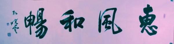 中書協主席孫曉雲題寫的“惠風和暢”和田英章相比，誰寫得更好？