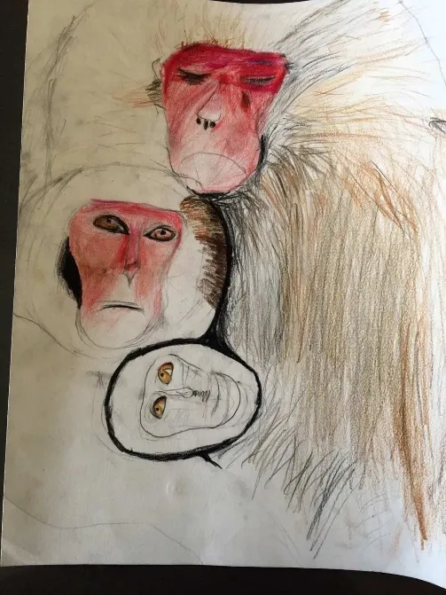 給3個娃選了十幾年興趣班，最後發現法寶竟然是“當豬養”