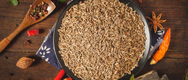 科普一下補陽的食材，讓虛寒體質的人也能溫暖過冬