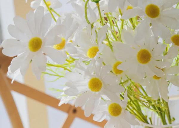 浣熊C位出道,牛排紅酒地道,這家餐廳有點味道~ 浣熊C位出道,牛排紅酒地道,這家餐廳有點味道~