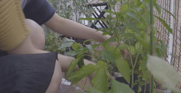 35㎡老破小爆改神作！裝下兩個書房、植物園、三分離衛生間