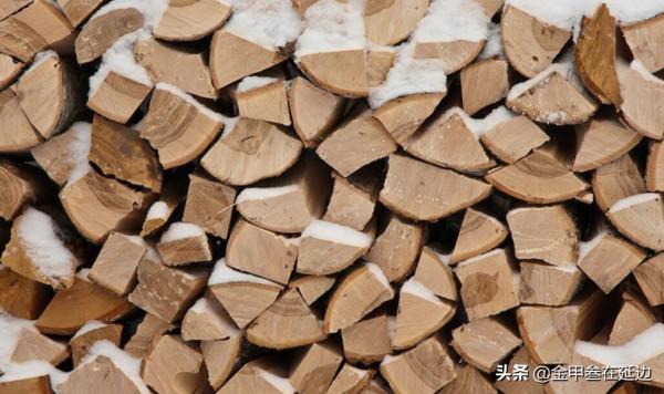 從我，一個東北人的角度，講一講東北“貓冬”的那點事兒