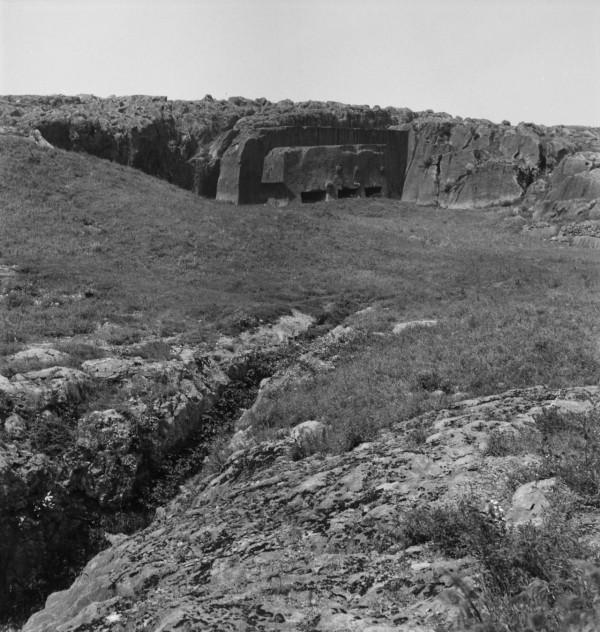 鬼子追捕抗聯戰士，卻不慎闖進熊瞎子窩，被啃死一半的人