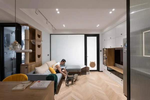 42㎡全靠拆牆打造通透無敵的空間，1人4貓的貓系新居