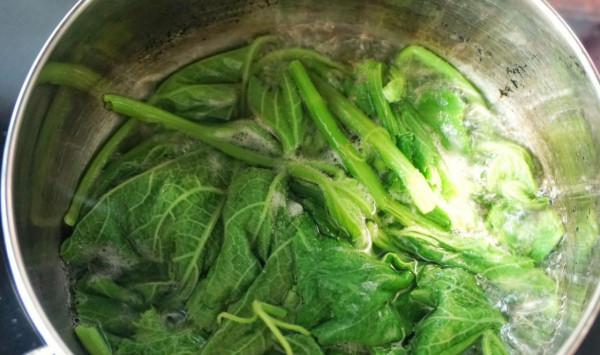 老人喜歡吃的南瓜藤,竟會給身體健康造成威脅,真是這樣嗎? 老人喜歡吃的南瓜藤,竟會給身體健康造成威脅,真是這樣嗎?