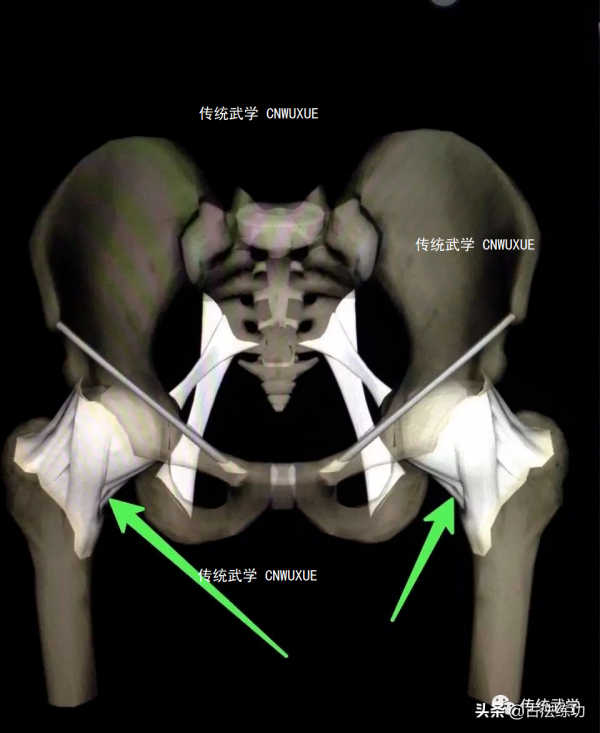太極拳開胯及腰檔轉換秘訣 太極拳開胯及腰檔轉換秘訣