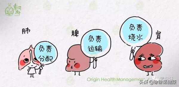 痰多不一定是肺病，清肺藥先停停，聽徐大夫說兩句