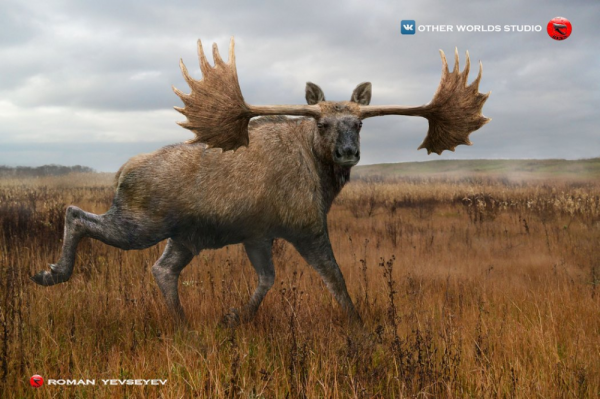 25張罕見的動物照片：折斷脖子的長頸鹿，會噴粉色墨汁的海兔