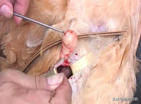 八九十年代童年老物件45個,大部分已經消失,或者就快要消失了 八九十年代童年老物件45個,大部分已經消失,或者就快要消失了