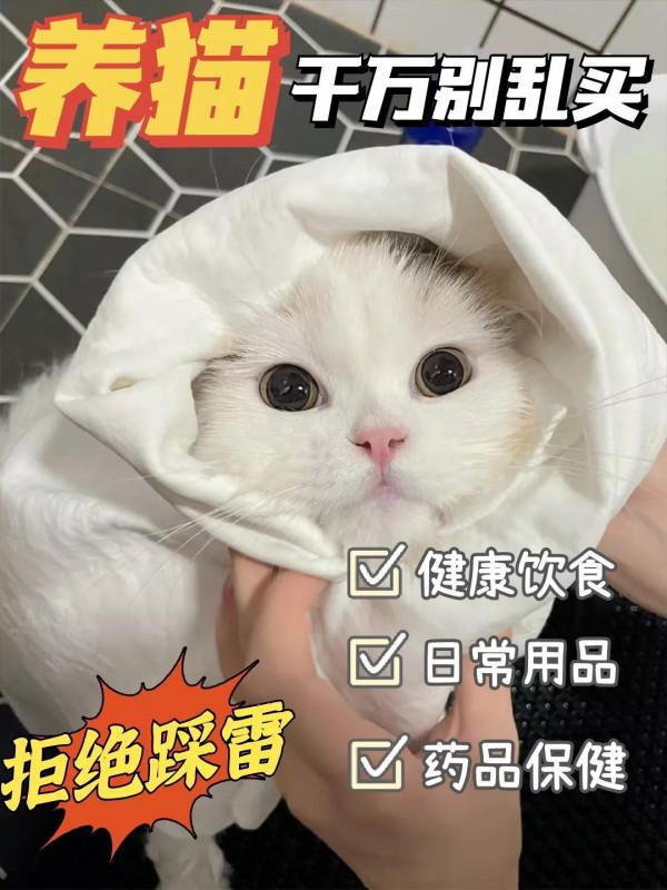 養貓買這些東西，簡直就是浪費