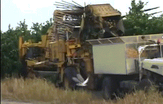 果園裡面也能使用收割機嗎? 果園裡面也能使用收割機嗎?