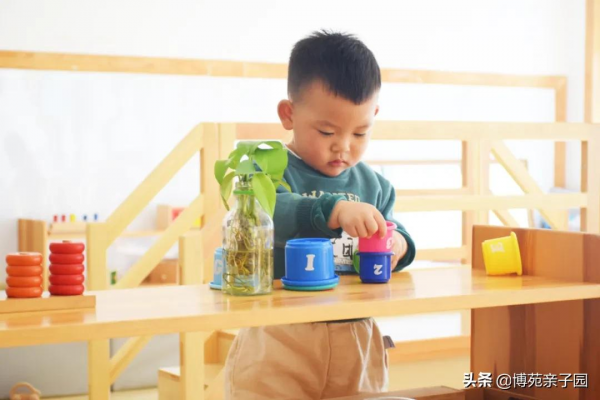 專注,是一種自然 專注,是一種自然