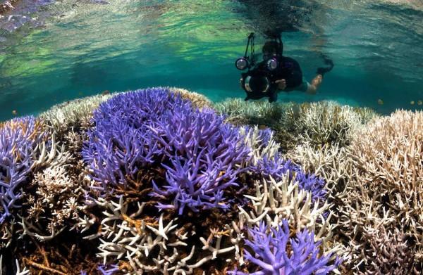 2021年12月，首艘中國籍奢華遊輪來啦！出海跨年，探秘南海