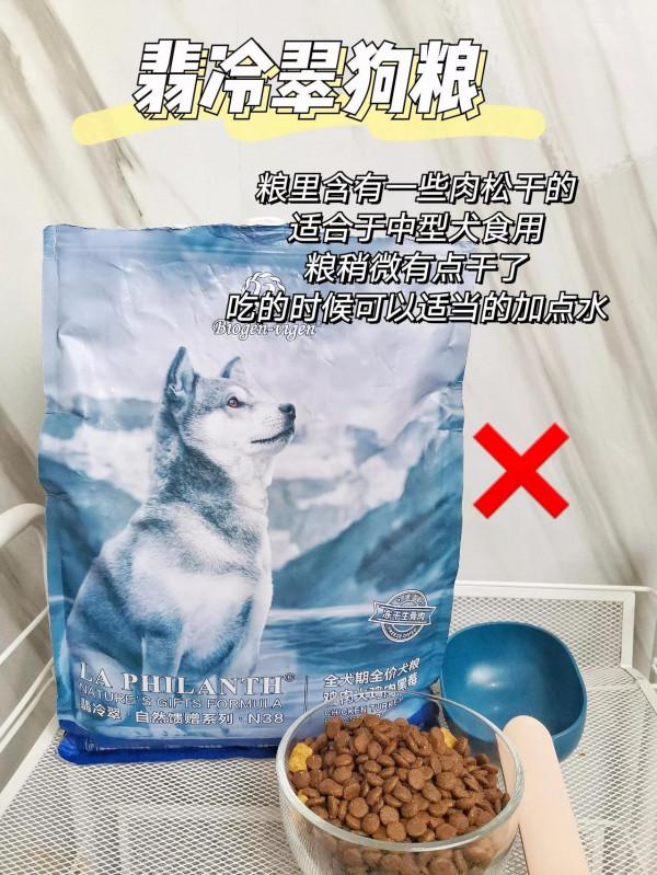 2021狗糧｜誰會是好狗糧呢