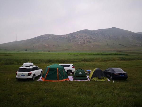 悠悠林海 歲歲情緣