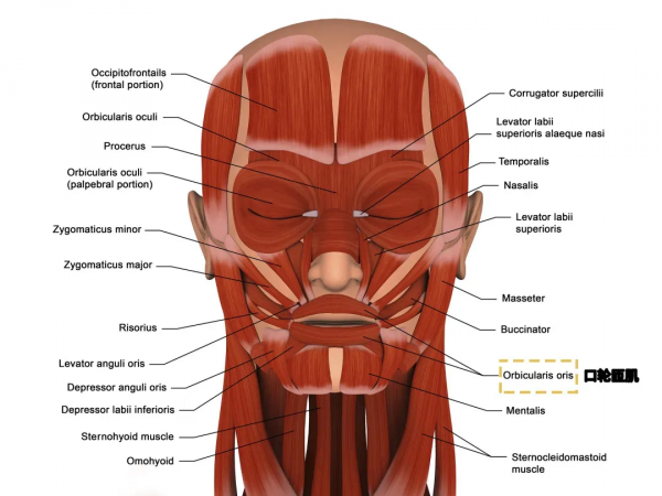 還有誰沒看《頂樓》第三季?金素妍的去皺秘籍,你get到了嗎? 還有誰沒看《頂樓》第三季?金素妍的去皺秘籍,你get到了嗎?