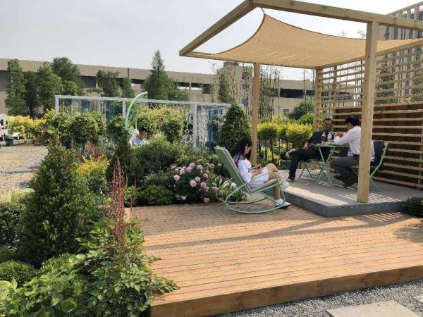 有這4個特點的院子,不拿來養花,簡直就是浪費 有這4個特點的院子,不拿來養花,簡直就是浪費