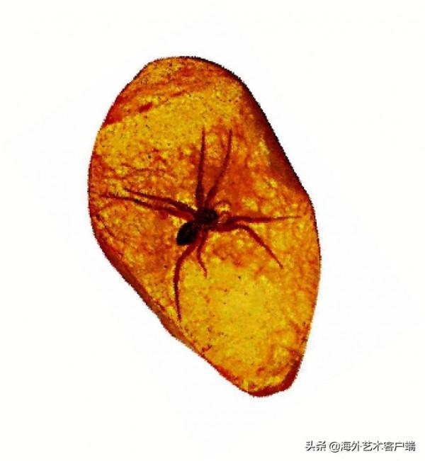 遠古的“物象珀”