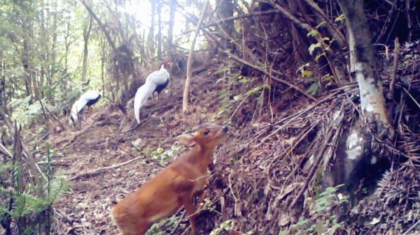 動物們的溫情瞬間,你被哪個所打動? 動物們的溫情瞬間,你被哪個所打動?