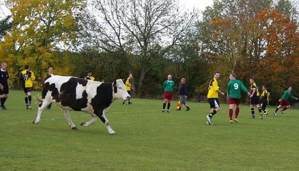 足壇奇葩故事(7)：越獄出來也要踢比賽，為球隊建功後被捕