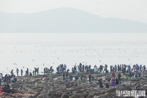 假期最後一天，棧橋景區火爆