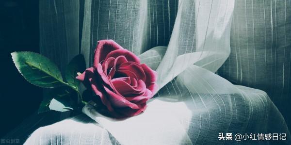 散文：儘管半生已風雨，我們依然要做一棵樹