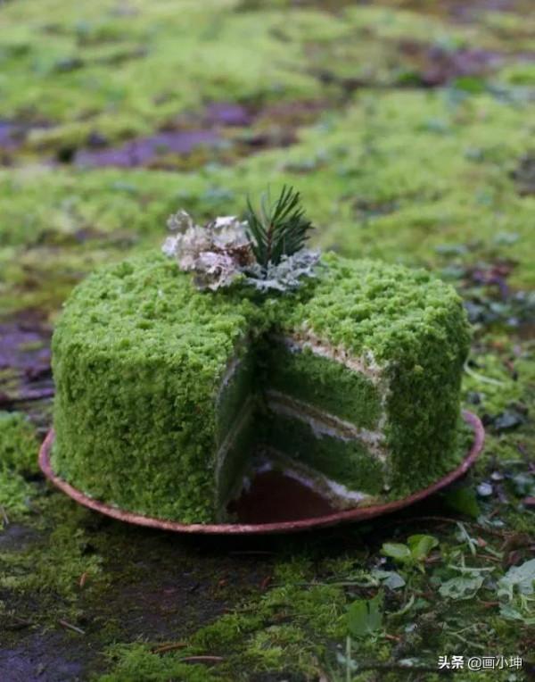 蛋糕是大森林的饋贈,美得彷彿來自童話世界 蛋糕是大森林的饋贈,美得彷彿來自童話世界