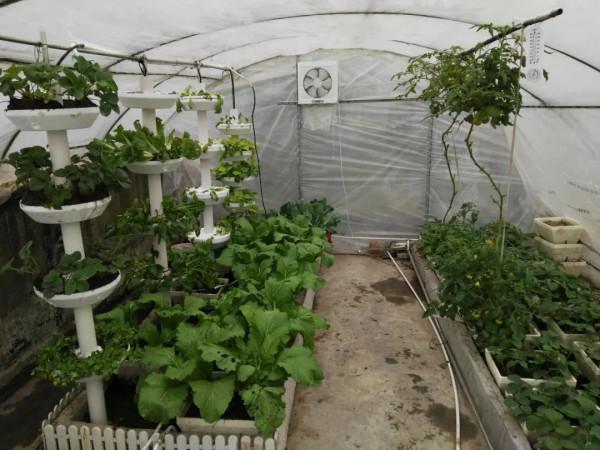 用太陽能熱水器給暖棚增溫,沒想到結果這樣。說說曾經的嘗試 用太陽能熱水器給暖棚增溫,沒想到結果這樣。說說曾經的嘗試