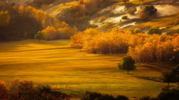 2022年，國內旅行時間表出爐，一鍵解鎖12個月的最佳旅行地