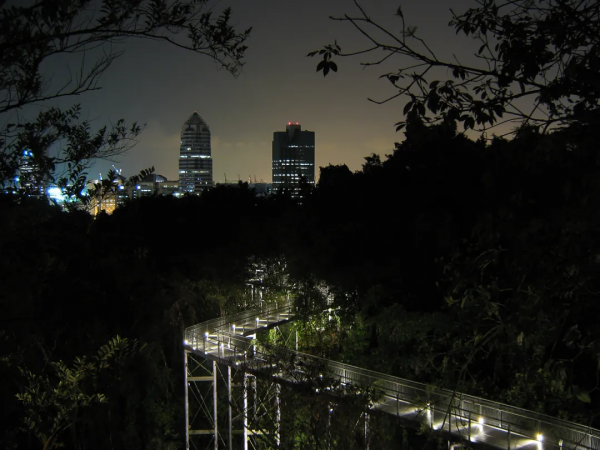 2004年，8歲女童黃娜在新加坡鬧市失蹤，屍體被兇手裝入水果箱