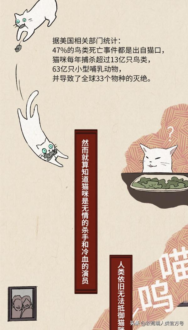 貓對人沒什麼感情，跟著你就是為了混飯吃