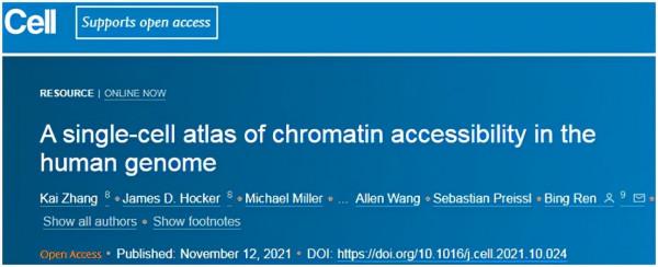 Cell：新研究構建出人類基因組中的單細胞染色質圖譜