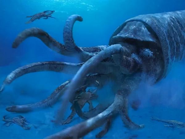 硬核科普:為什麼只有人類進化出高度發達的大腦? 硬核科普:為什麼只有人類進化出高度發達的大腦?