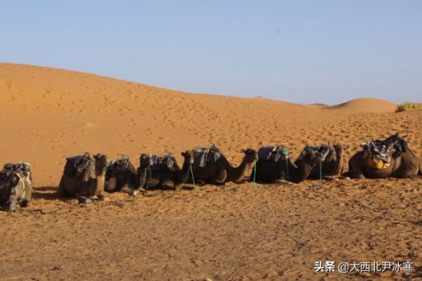 跟著三毛的足跡一起走進撒哈拉沙漠（圖）