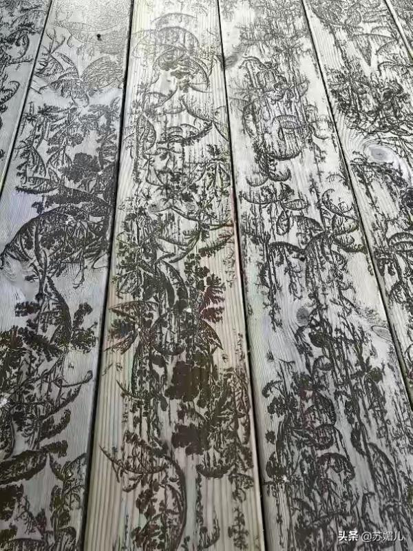 太震撼了!27張神奇的圖片帶你領略大自然的鬼斧神工 太震撼了!27張神奇的圖片帶你領略大自然的鬼斧神工