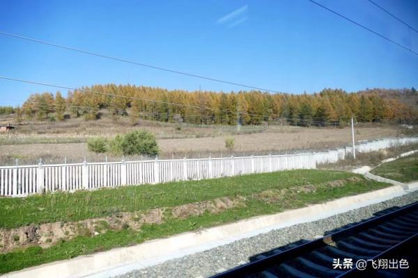 北國第4站丨我用一堆相片告訴你，綏芬河的深秋是怎樣的