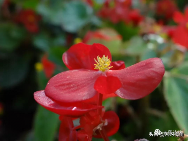 賀神州十三號升空（總第917期）