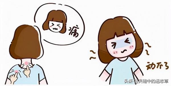 肩周炎，活動受限？送你四味中藥，祛頑痰，通經絡，快來了解下吧