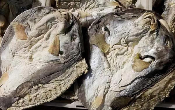 寧波話裡的漢字:鯗 寧波話裡的漢字:鯗