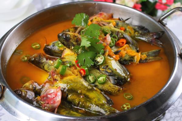 小河溝黃辣丁“暴發”!老大爺釣到一條大黃辣丁!感嘆變化了 小河溝黃辣丁“暴發”!老大爺釣到一條大黃辣丁!感嘆變化了