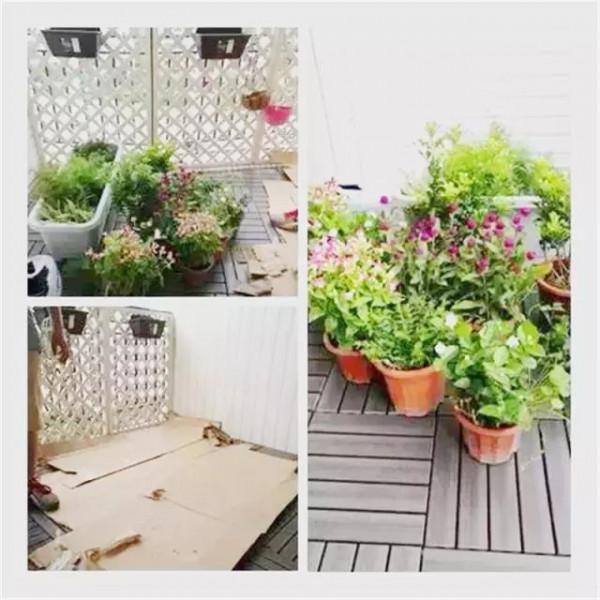 用2000元,爆改一個陽臺花園,你也可以做到 用2000元,爆改一個陽臺花園,你也可以做到