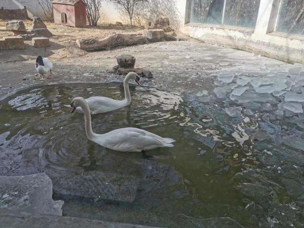 動物園裡那些瞬間