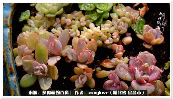 時光匆匆，一閃而逝，這世間萬物的美，都值得被記錄