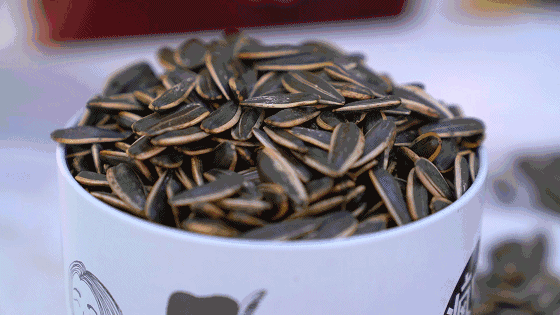 古今中外嗑瓜子都“上癮”,原來是有科學依據的 古今中外嗑瓜子都“上癮”,原來是有科學依據的