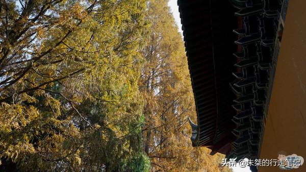 江淮著名的千年古剎 位於國家歷史文化名城 是安徽最美銀杏觀賞地 江淮著名的千年古剎 位於國家歷史文化名城 是安徽最美銀杏觀賞地