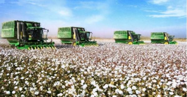 67年前建立的新疆建設兵團,解決了困擾邊疆穩定和繁榮的歷史難題 67年前建立的新疆建設兵團,解決了困擾邊疆穩定和繁榮的歷史難題