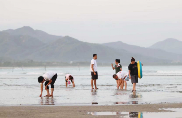 飛閱深汕｜小漠灣白沙灘：深閨藏秀 大美不言