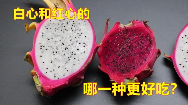 於火龍果的小知識,您知道哪些?看看漲知識了 於火龍果的小知識,您知道哪些?看看漲知識了