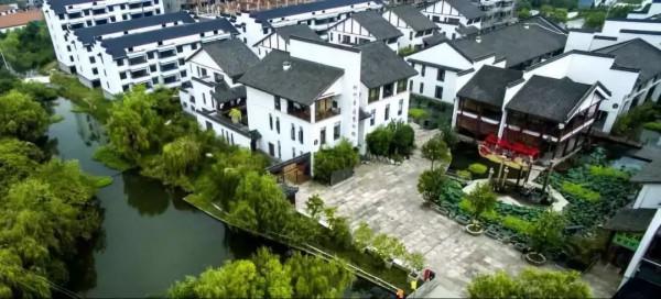 湖州大姐借錢開荒,靠養魚年收入7000萬,帶領周邊漁民共同致富 湖州大姐借錢開荒,靠養魚年收入7000萬,帶領周邊漁民共同致富